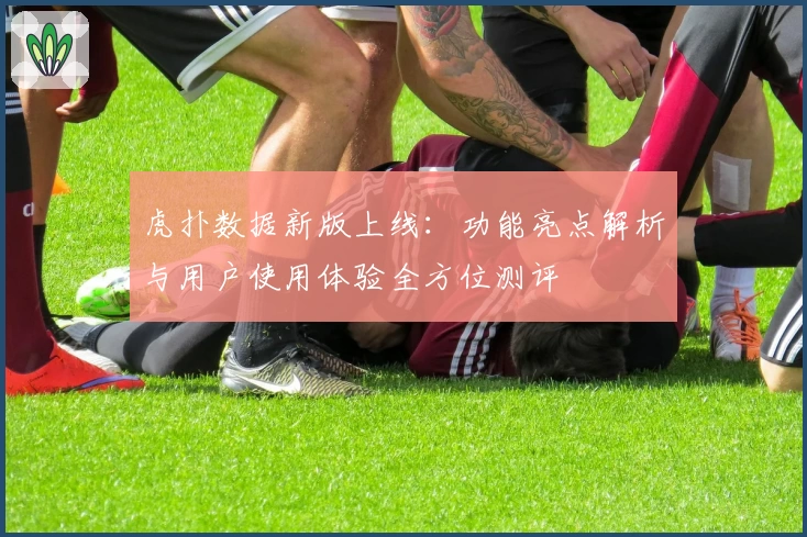 虎扑数据新版上线：功能亮点解析与用户使用体验全方位测评